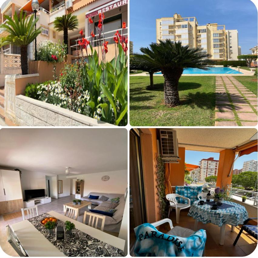 Apartamento Paradise Solo Familias Gandia Exterior photo