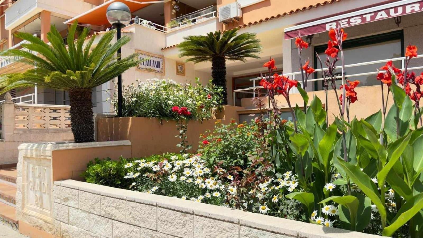 Apartamento Paradise Solo Familias Gandia Exterior photo