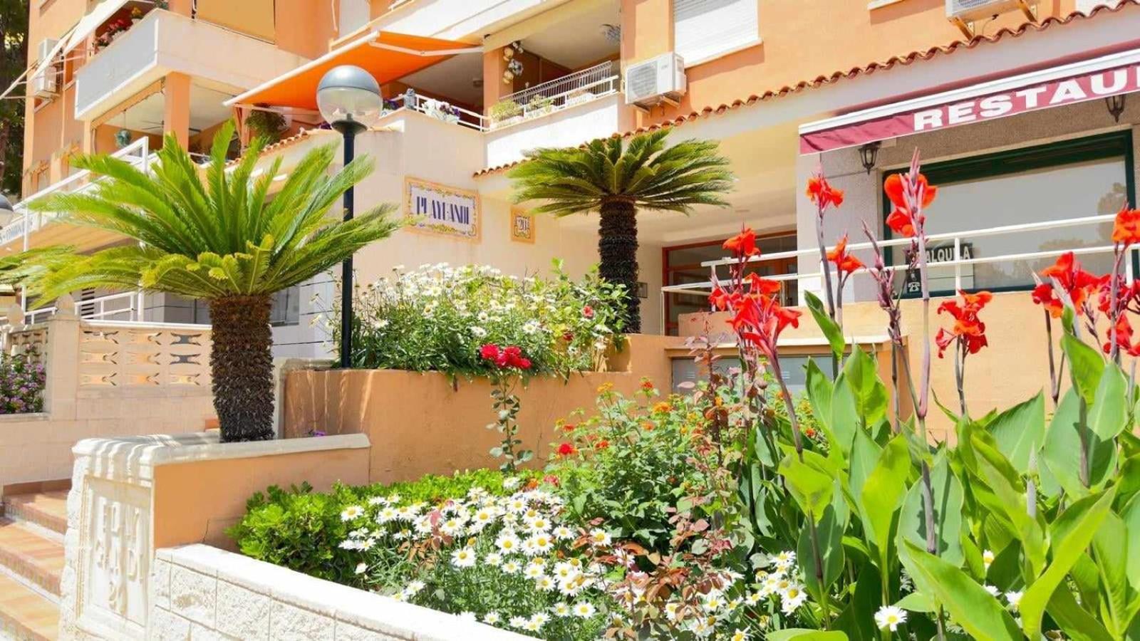 Apartamento Paradise Solo Familias Gandia Exterior photo
