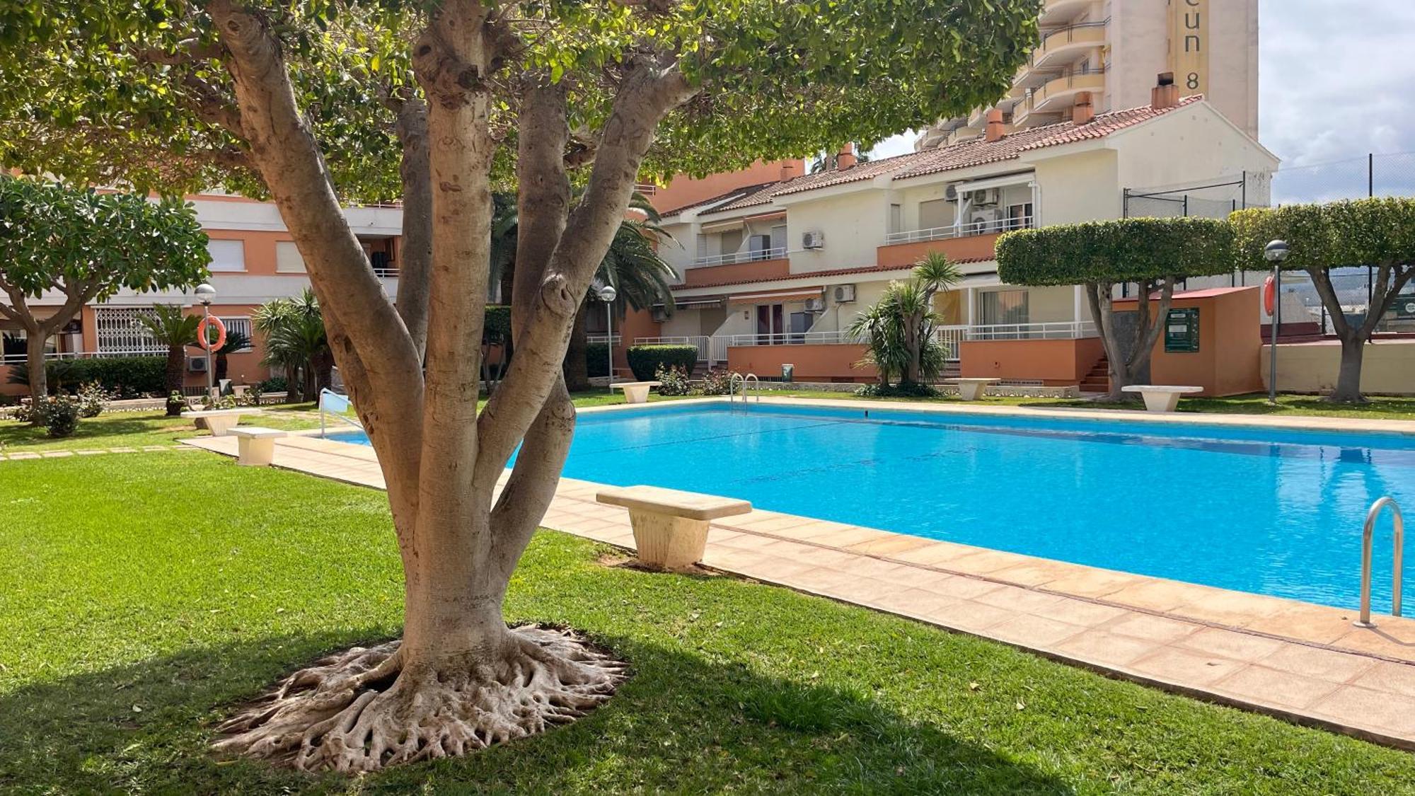 Apartamento Paradise Solo Familias Gandia Exterior photo
